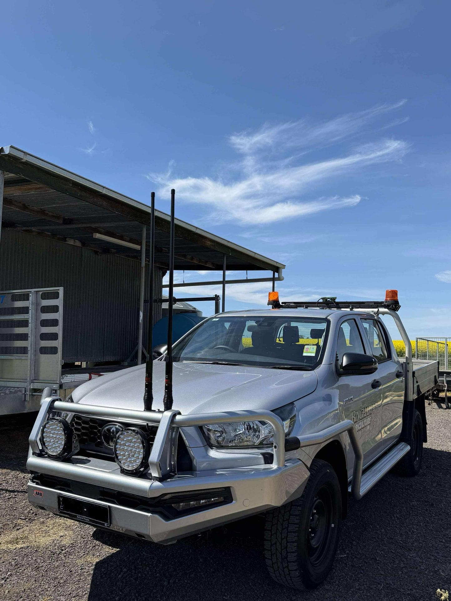 Dual and Triple Antenna Mount