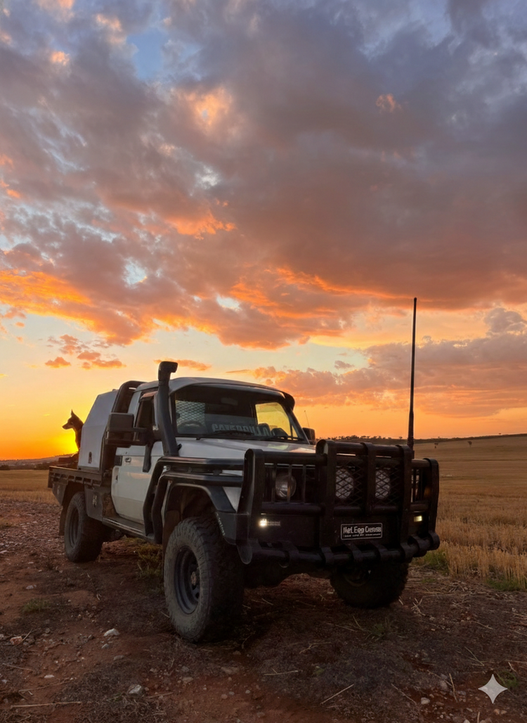 Landcruiser 79 accessories